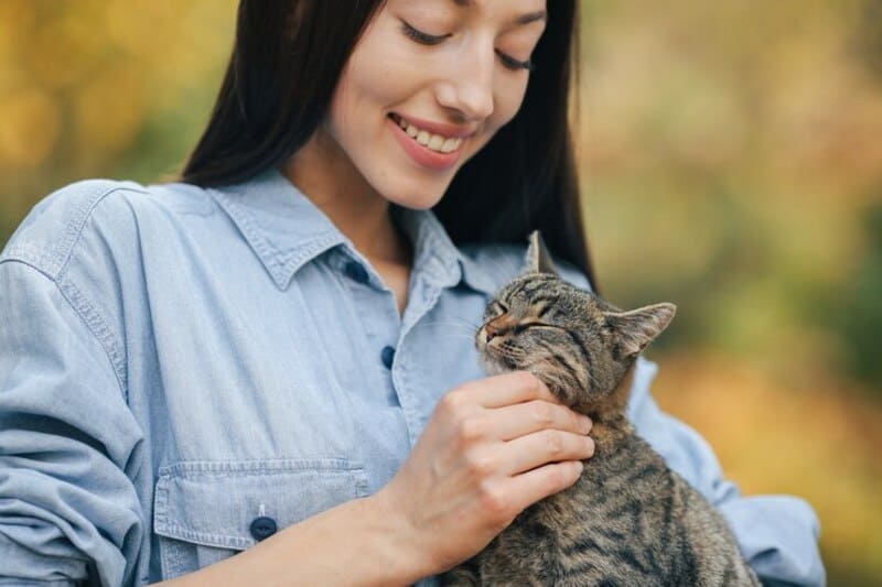 curiosidades sobre gatos - mulher fazendo carinho em gato