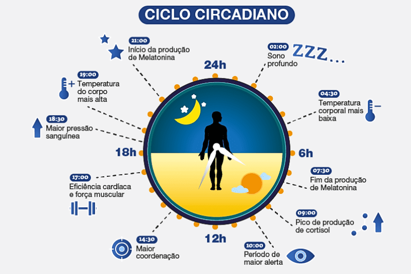 Ciclo Circadiano