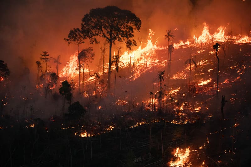 Queimadas na Amazônia