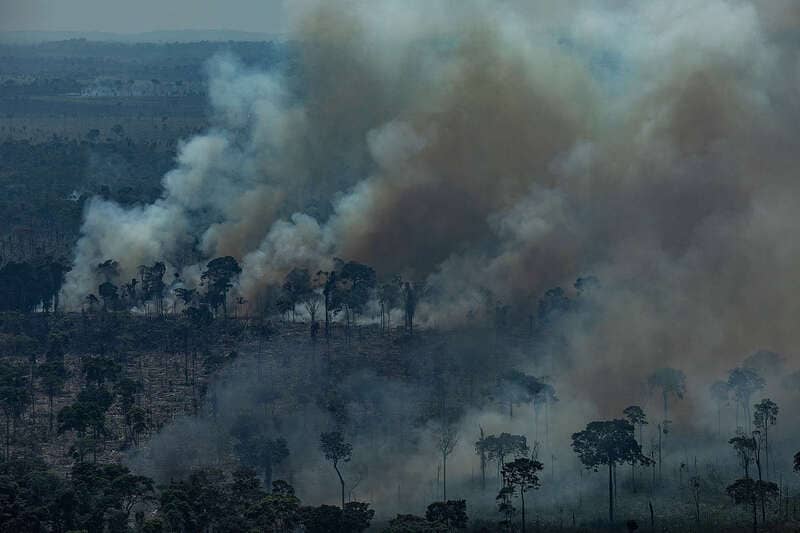 Queimadas na Amazônia, desmatamento