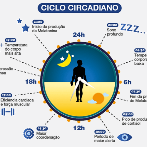 Ciclo Circadiano