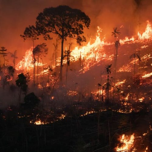 Queimadas na Amazônia